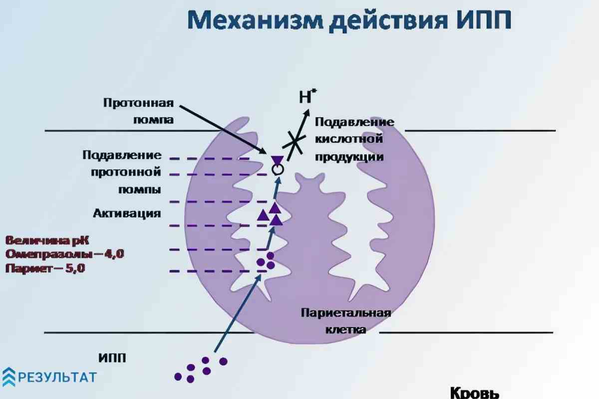 Действие ипп
